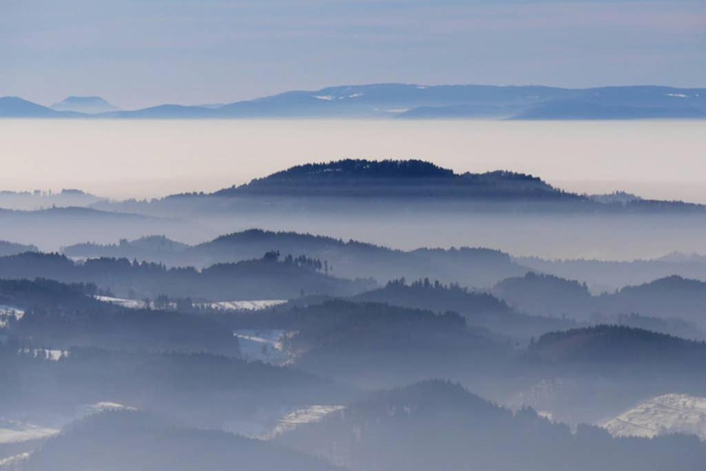 Ferienwohnung Schwarzwald Hinterzarten Dış mekan fotoğraf