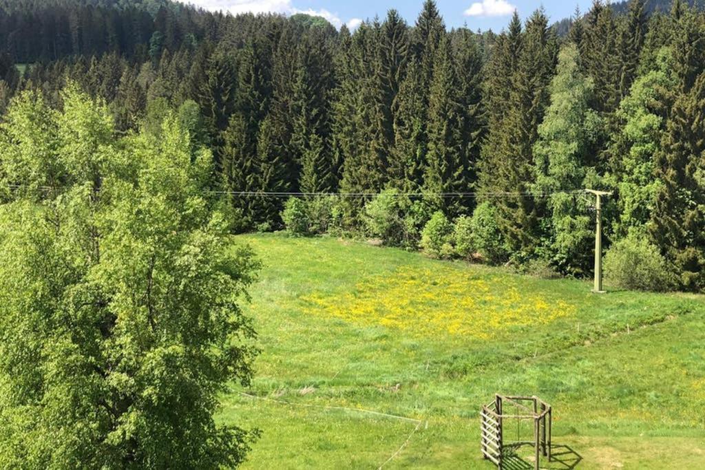 Ferienwohnung Schwarzwald Hinterzarten Dış mekan fotoğraf