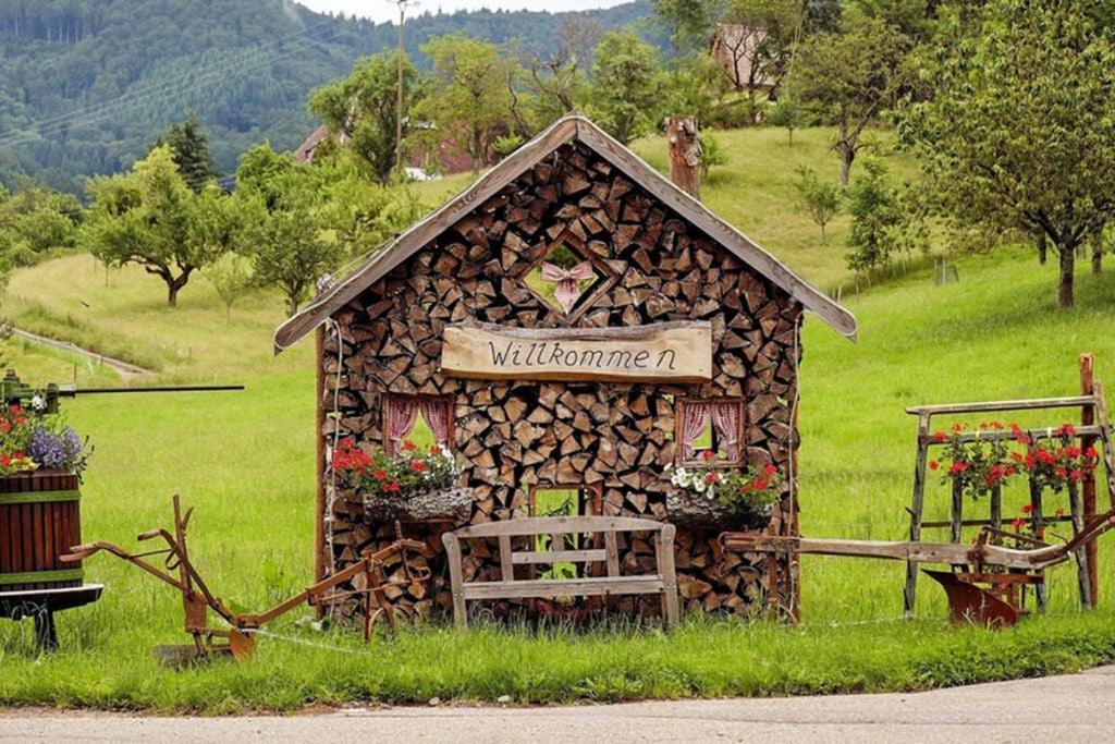 Ferienwohnung Schwarzwald Hinterzarten Dış mekan fotoğraf