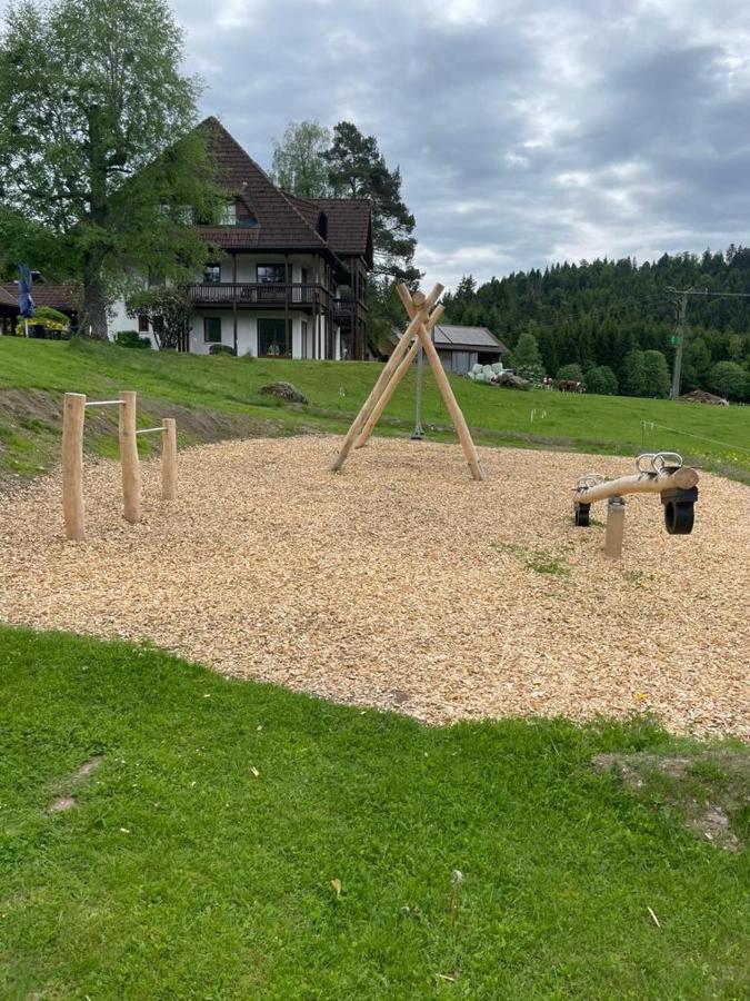 Ferienwohnung Schwarzwald Hinterzarten Dış mekan fotoğraf