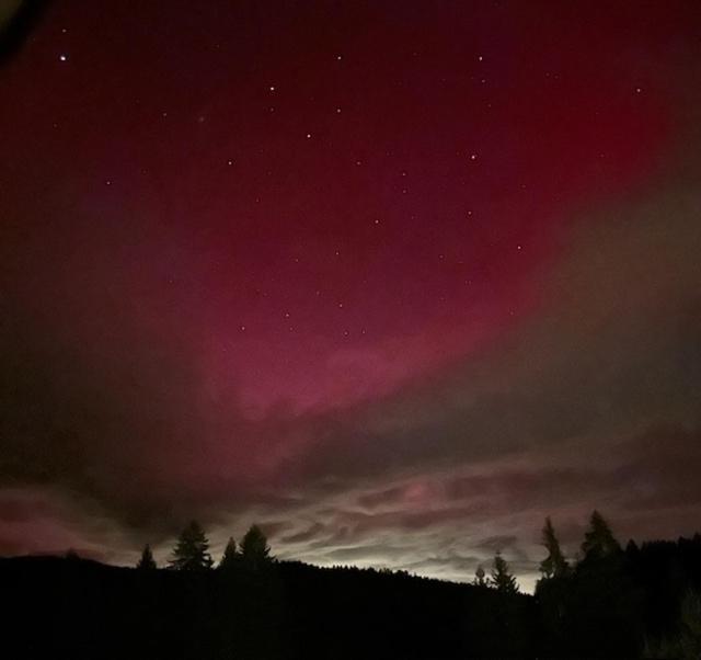 Ferienwohnung Schwarzwald Hinterzarten Dış mekan fotoğraf